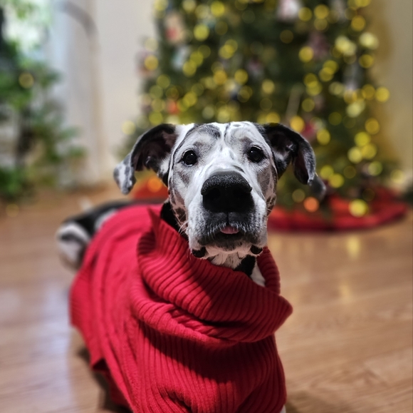 Hello! If you are here, thank you for checking out my page. I appreciate you! 🧡 - Picture 3 of 6